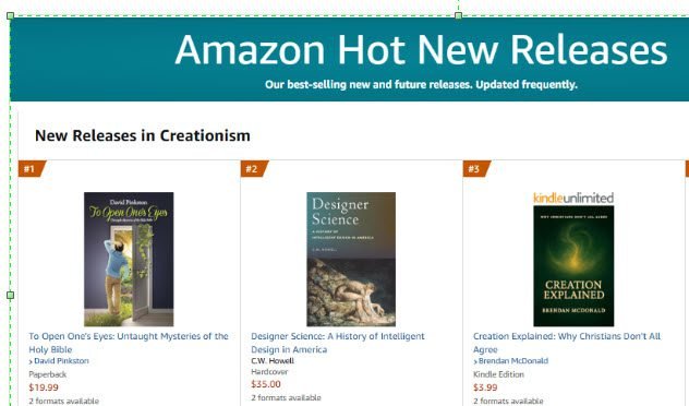 #1 in Creationism
